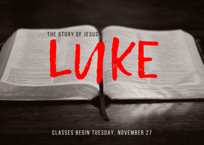 The Story of Jesus by Luke