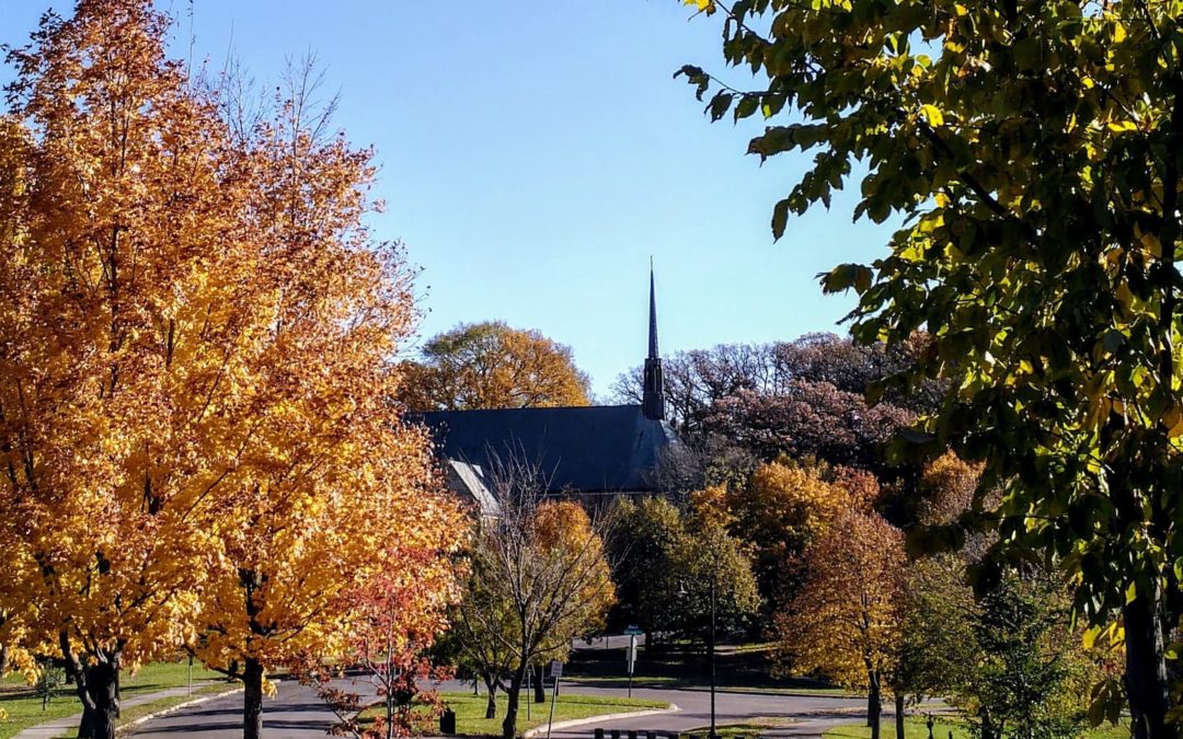 Epistle for Sunday 17 November 2019