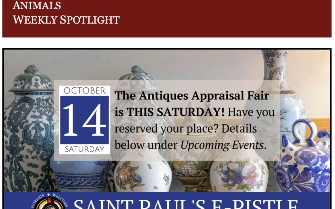 E-pistle for Sunday 16 October 2023