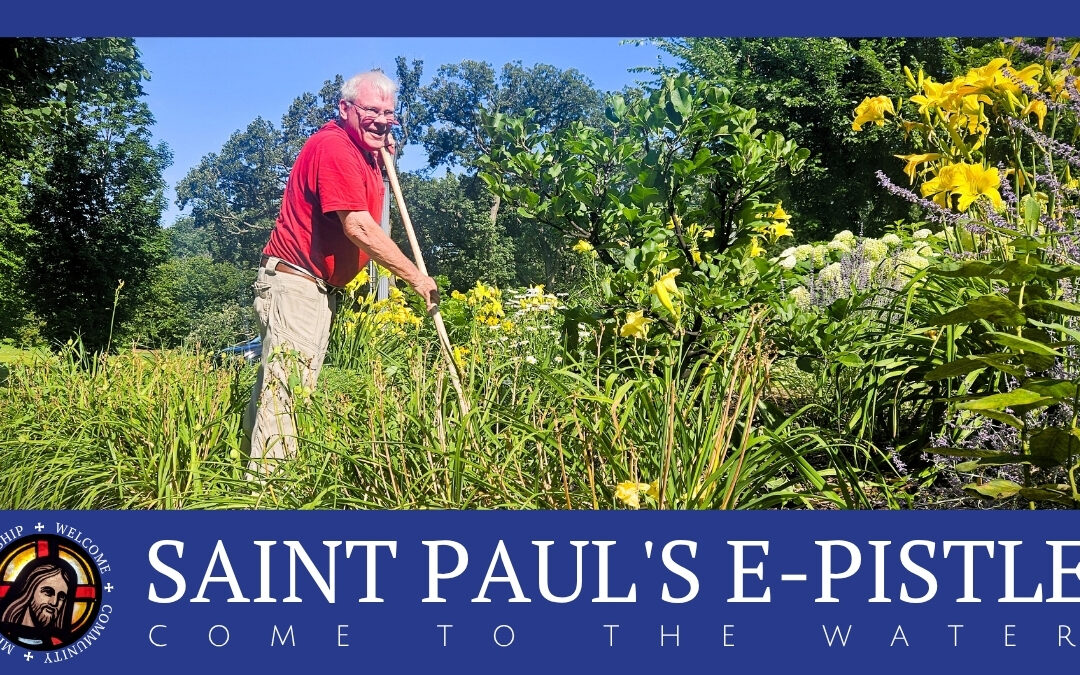 E-pistle for Sunday 10 August 2025