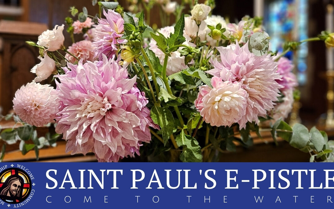 E-pistle for Sunday 20 July 2025