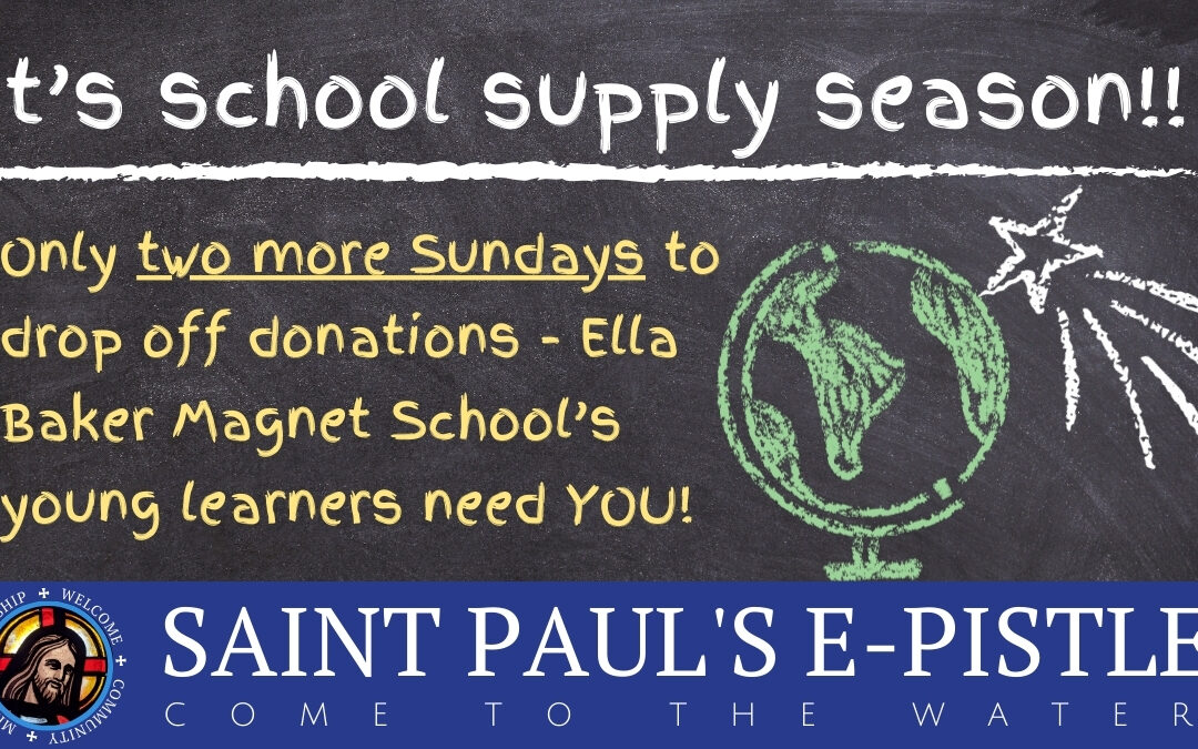 E-pistle for Sunday 17 August 2025