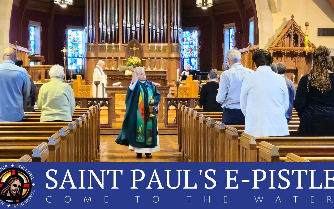 E-pistle for Sunday 15 February 2026