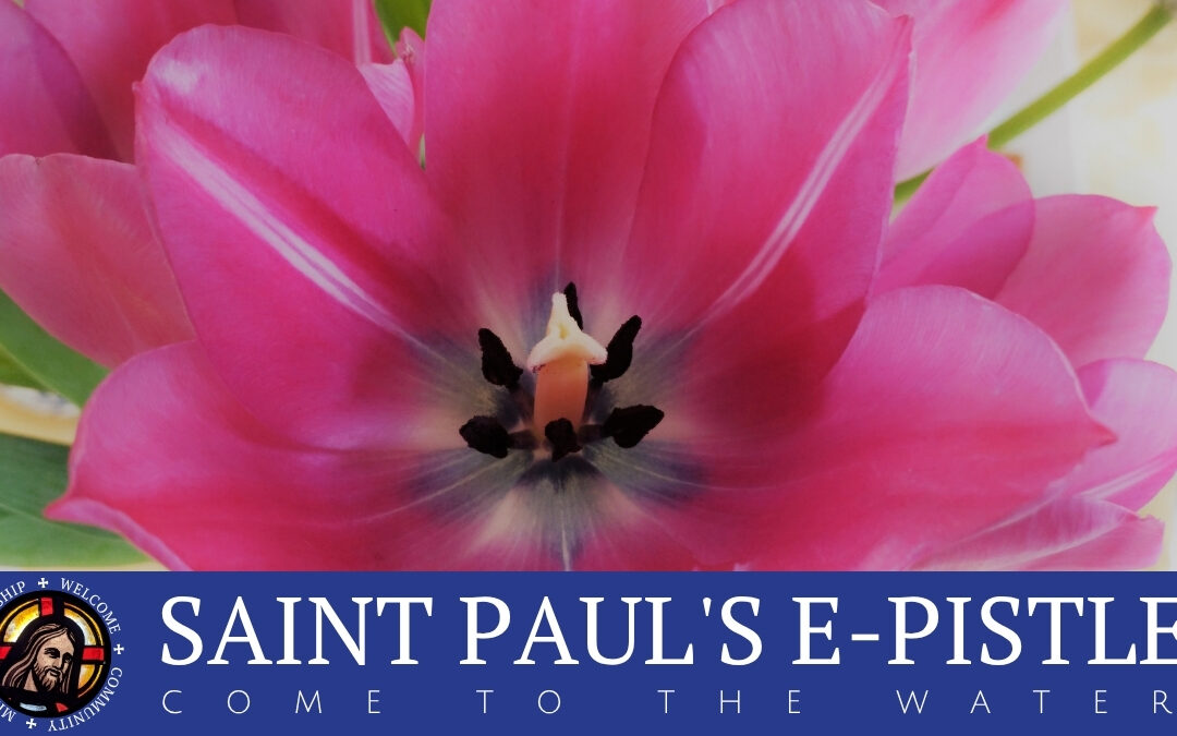 E-pistle for 19 April 2026