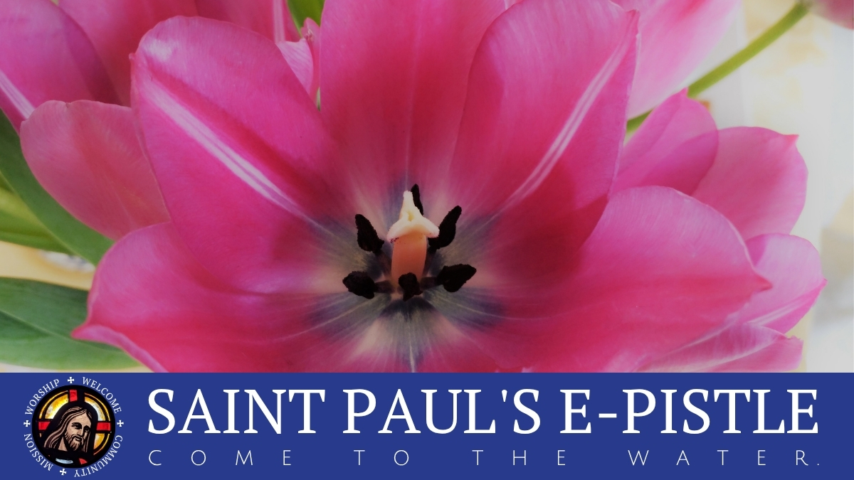 E-pistle for 19 April 2026